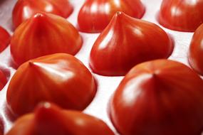 tomato harvest