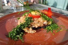 Salmon with Herbs and vegetables