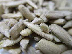 vegetable seeds