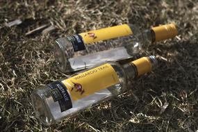 alcoholic empty bottles
