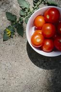 tomatoes in plate