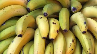 Sweet yellow bananas