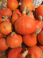 homemade ripe pumpkins