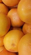 Grapefruit, pile of Tropical Fruits