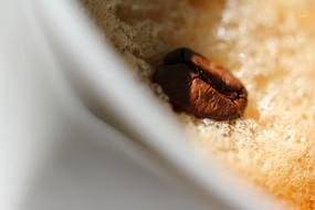 Coffee Grain