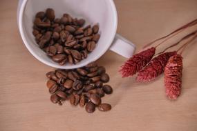 coffee beans in mug
