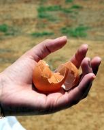 broken shell egg