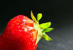 Macro photo of juicy strawberries on a black background