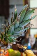 delicious pineapple leaves
