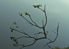 Autumn branch against sky