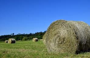field with hay bales