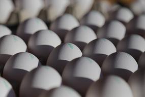 White wholesome eggs