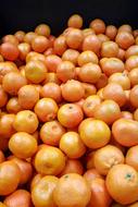 harvest of ripe oranges