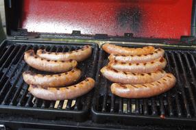 hot grilled sausage