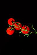Tomatoes Red Vegetables