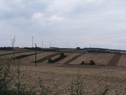 evening field