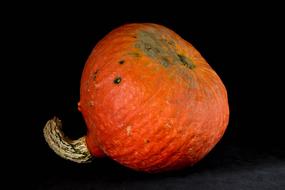 sweet healthy vegetable