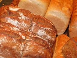 Bread fresh Bakery for breakfast