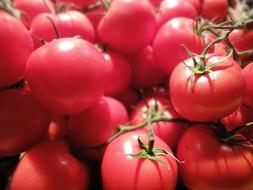 Tomatoes Food Fair