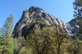 Valley Vegetation Yosemite park