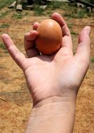 small chicken egg