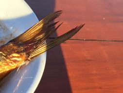 baked fish tail