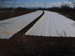 covered field