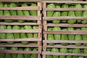 fruit closed in box