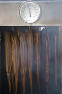 fish cooking