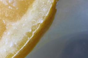 sour lemon slice yellow