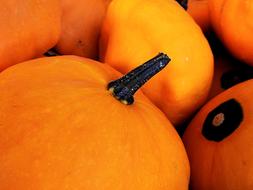 Tasty sweet pumpkin