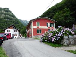 beautiful street