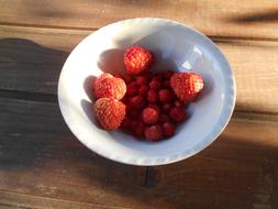 berry platter