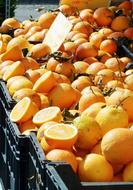 Citrus Fruits Lemon Vitamin