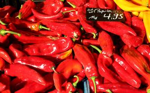 hot peppers on sale