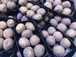 dirty potatoes in boxes