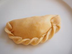 fried dumpling on plate
