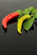 Paprika Pepperonie Food
