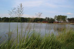 Grass Lagoon Water Reservoir