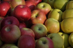 ripe delicious apples