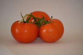 delicious fresh peppers