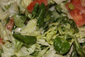 Salad Healthy Food