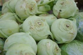 green vegetable harvest