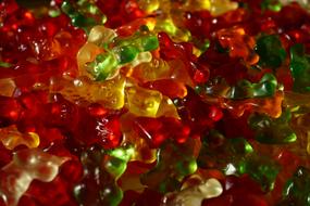 colorful sweet bears