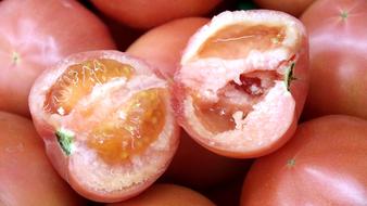 Fresh tomato halves