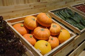 sweet pumpkin on sale
