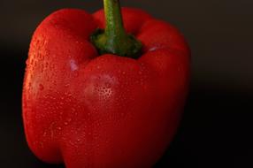 Red healthy bell peppers
