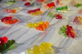 sugar bears