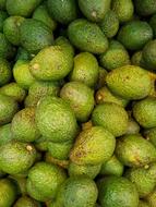sweet healthy avacados