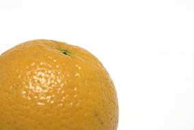 Orange, citrus Fruit close up, detail, white background